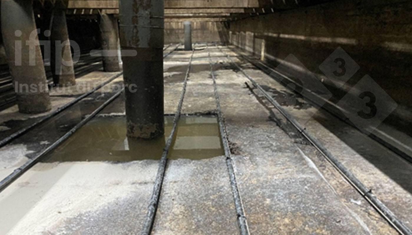 Układ chłodzenia gnojowicy zlokalizowany&nbsp;na dnie kanału w warunkach eksperymentalnych. Źr&oacute;dło: IFIP.
